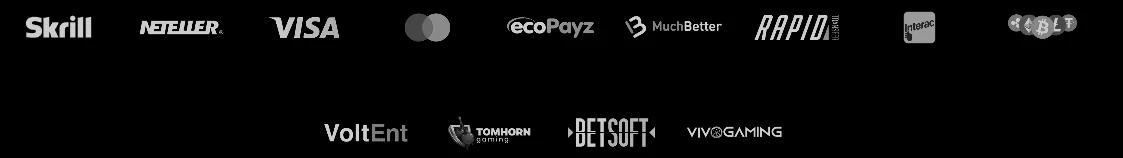 PalmSlots Zahlungsmethode